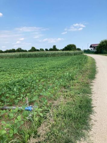 Terreno agricolo di 6805 mq in MORIAGO DELLA BATTAGLIA -