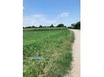 Terreno agricolo di 6805 mq in MORIAGO DELLA BATTAGLIA -