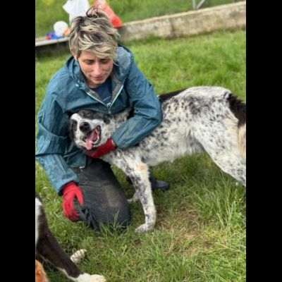 ESCAPE cacciatore di abbracci, CANE IN ADOZIONE - Foto 7