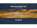 Immobile in asta di 1043 m² in vendita a Minervino Murge
