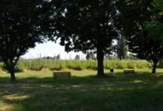 Immobile in asta di 47488 m² in vendita a Villaga - Foto 12