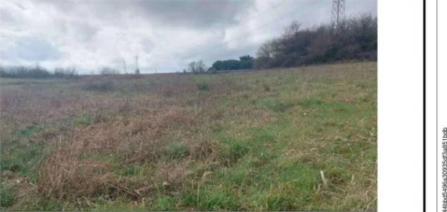 Immobile in asta di 30045 m² in vendita a Viterbo - Foto 2