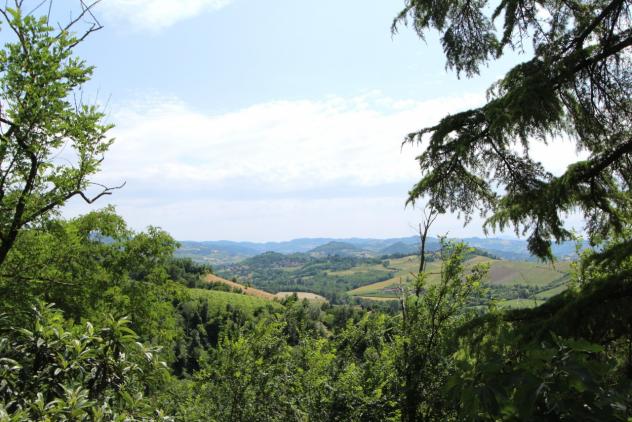 Porzione di casa in vendita a Valsamoggia - Foto 10