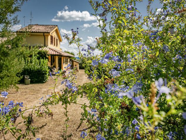 Villa in Via Settevene Ovest - Foto 4