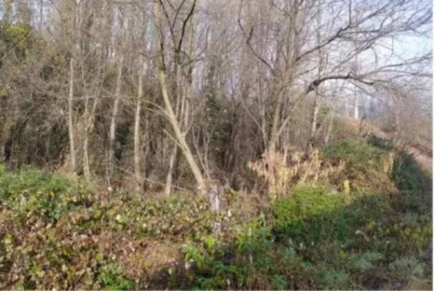 Immobile in asta di 11200 m² in vendita a Castello di Brianza - Foto 4