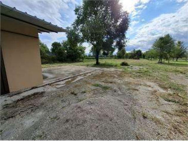 V001729 - TERRENO AGRICOLO - ULIVETO CON COSTRUZIONE - Foto 7