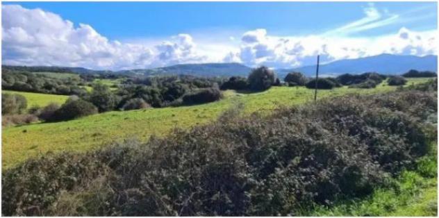 Immobile in asta di 6885 m² in vendita a Fordongianus - Foto 2