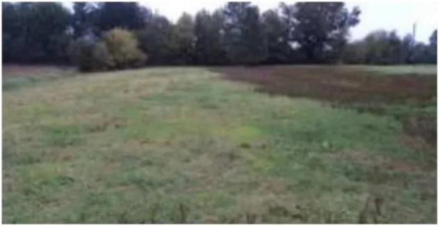 Immobile in asta di 36620 m² in vendita a Fucecchio - Foto 4
