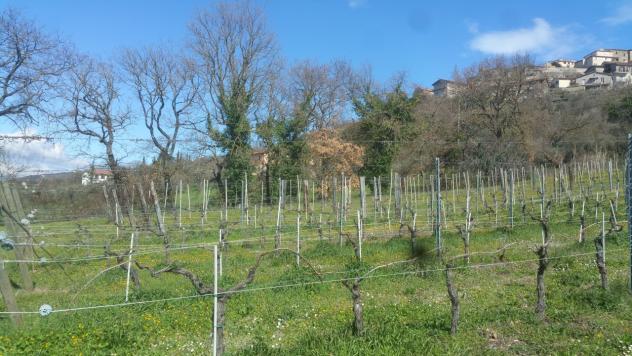 Seminativo in vendita a Lugnano in Teverina