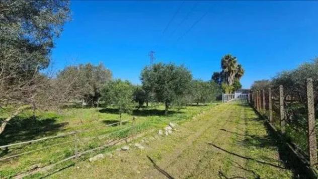 Immobile in asta di 1530 m² in vendita a Portigliola - Foto 2