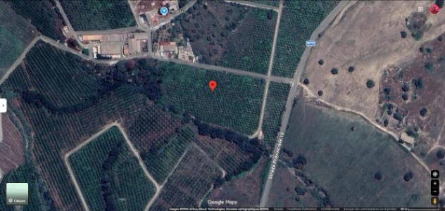 Immobile in asta di 23565 m² in vendita a Carlentini - Foto 11