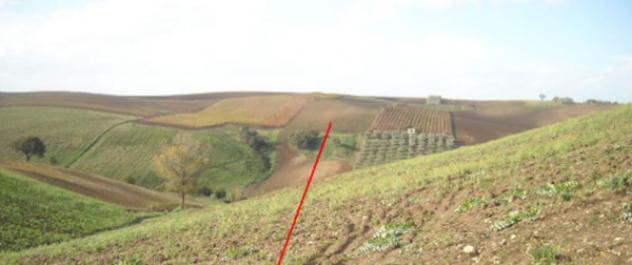 Immobile in asta di 65049 m² in vendita a Lavello - Foto 7