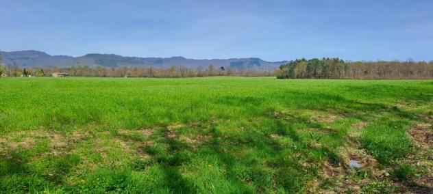 TERRENO AGRICOLO di 130000 mq (SCARPERIA E SAN PIERO - SCARPERIA) rif. AAI788 - Foto 6