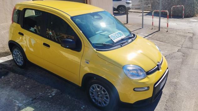 Fiat Panda 1.0 FireFly S&S Hybrid - Foto 5