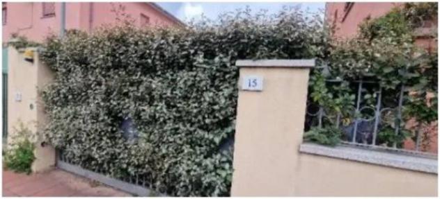 Immobile in asta di 62 m² in vendita a Olbia - Foto 2