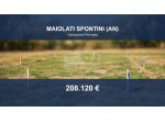 Immobile in asta di 17819 m² in vendita a Maiolati Spontini