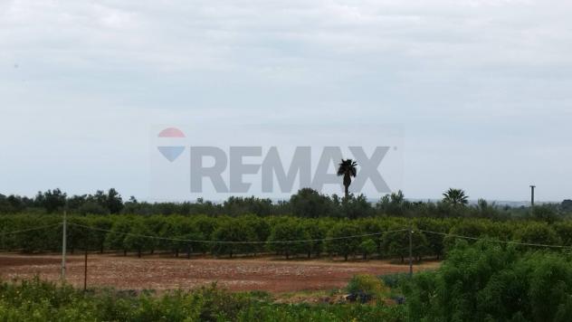 Terreno in vendita a Noto, San Lorenzo - Foto 9