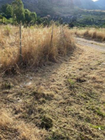 Immobile in asta di 56 m² in vendita a Palermo - Foto 9