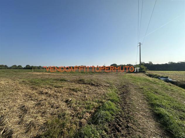 TERRENO AGRICOLO 4.400MQ - Foto 9
