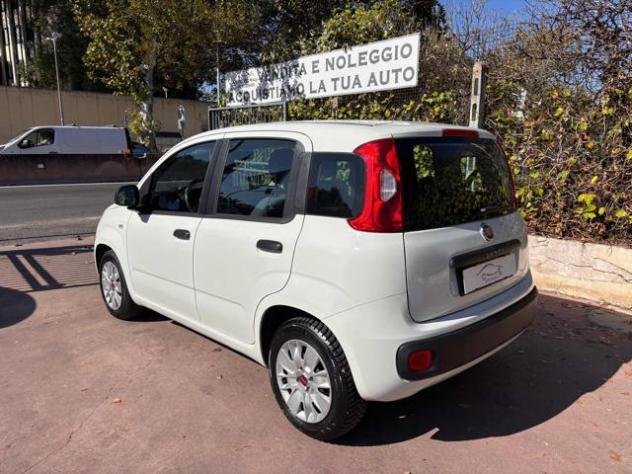 FIAT Panda 1.2 Easy NEOPATENTATI rif. 24199963 - Foto 6