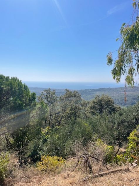 Casal Velino Frazione Acquavella terreno panoramico - Foto 4