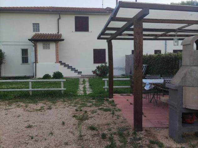Montalto di Castro affittasi rustico 4 vani 100 Mq - Foto 2