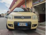 FIAT PANDA 1.2 BENZINA CV60 KW44 CLIMBING