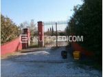 Abitazione in villini di 313.81 mq  in vendita a Cesena - Rif. 4554714
