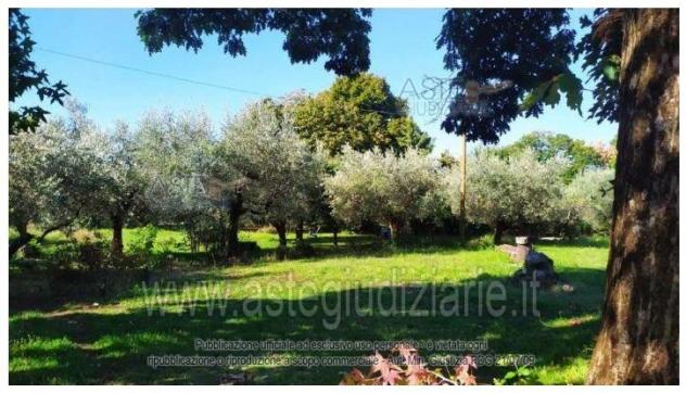 IMMOBILI-IMMOBILE RESIDENZIALE-Via della Pallade, 6, 00049 Velletri RM, Italia - Foto 8