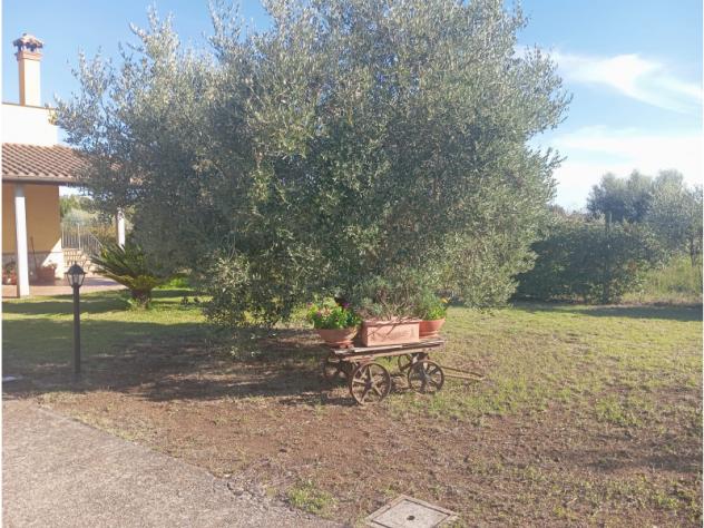 Villa in Via Riserva della Bandita - Foto 18