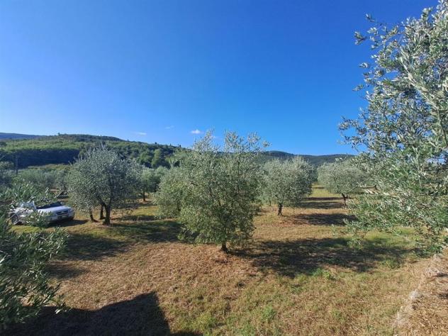 Valdambra - Annesso in Muratura con Terreno e Uliveto - Rif. C10 - Foto 14