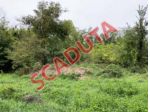 Immobile in asta di 50 m² in vendita a Mantova