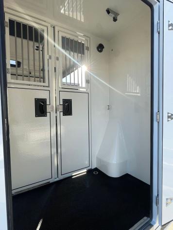 Renault Master Master 2.0 TD 170 CV HARAS ALLESTIMENTO STALLONI 3 POSTI CABINA - Foto 10