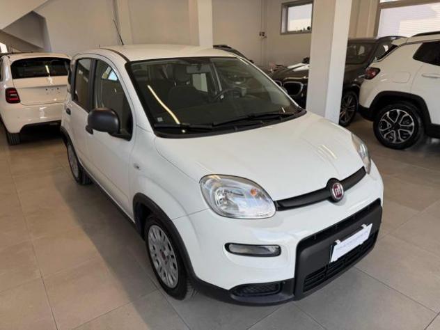FIAT Panda 1.0 FireFly S&S Hybrid rif. 24203036 - Foto 2