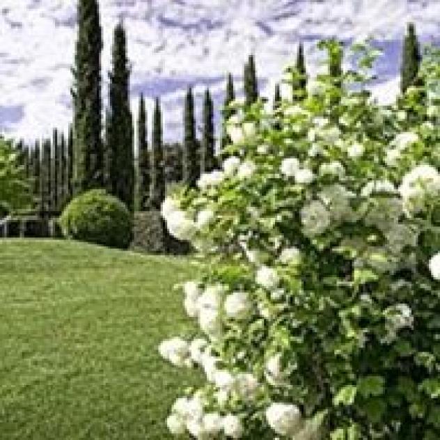 Podere Il Gioiello - Immobiliare Stella S.n.c. - Foto 4
