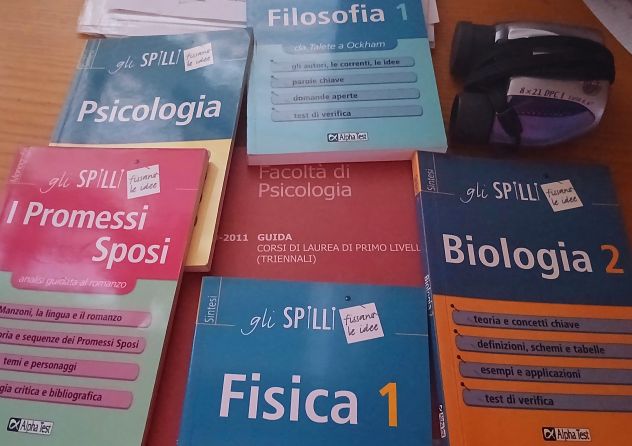 Offro ripetizioni elementari e medie