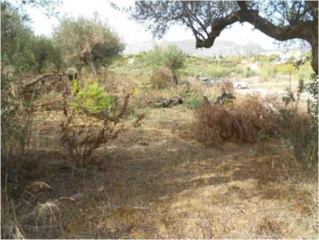 Immobile in asta di 15825 m² in vendita a Alcamo - Foto 3