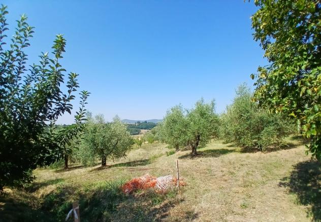 Rustico in vendita a Montecastrilli - Foto 11