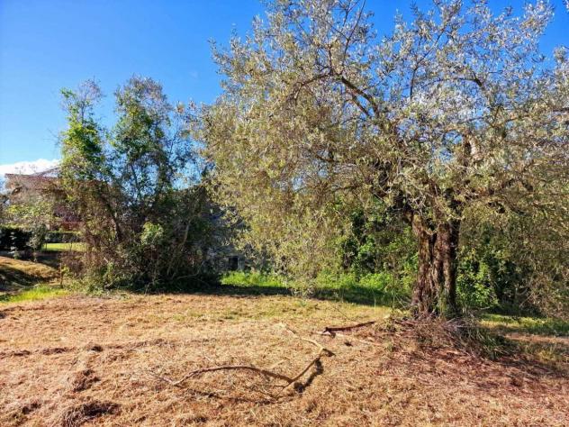 Casale in vendita a Narni - Foto 10