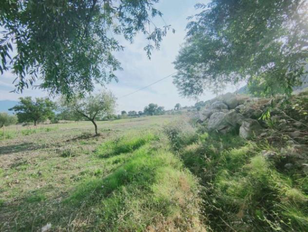 Immobile in asta di 6948 m² in vendita a Oliveto Citra - Foto 2
