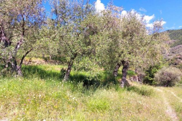 Immobile in asta di 21000 m² in vendita a Pietrabruna - Foto 10