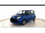 FIAT Panda 1.0 FireFly S&S Hybrid rif. 23984114