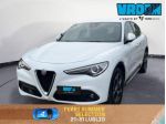 ALFA ROMEO Stelvio 2.2 Turbodiesel 210 CV AT8 Q4 Ti rif. 22901387