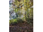 Terreno in vendita a Pedara