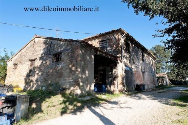 Agricolo in vendita a Pesaro - Foto 6