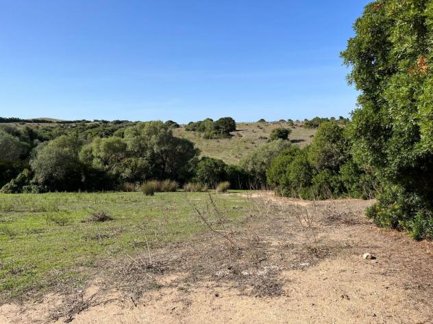 Casale in vendita a Vignola Mare - Aglientu 83000 mq Rif: 1395911 - Foto 8
