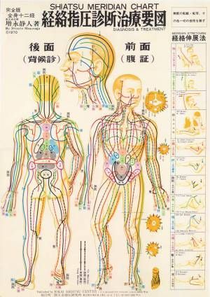 Massoterapista shiatsu professionale