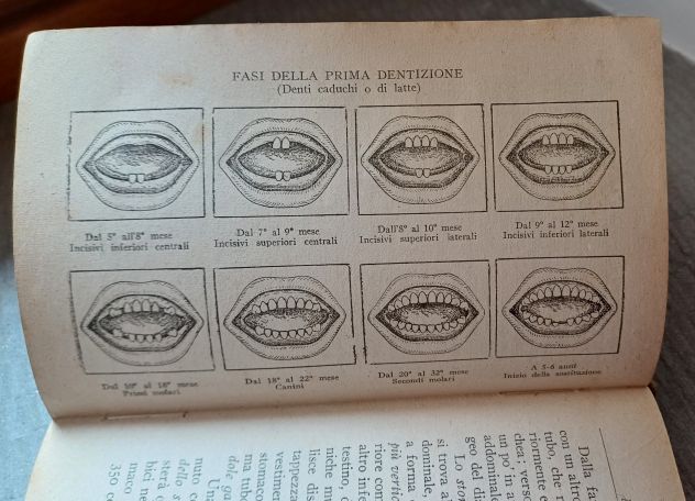GUIDA PRATICA PER LE MADRI, Prof. Giovanni Antonio DOTTI, 1946. - Foto 4