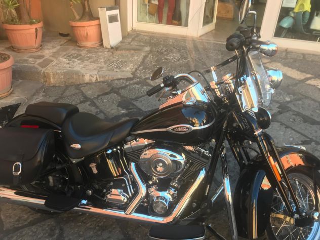 Harley-Davidson FLSTSC Springer Classic 1584 Twin Cam 96 – Originale – 2006 - Foto 10