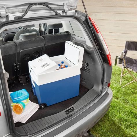 Frigorifero Portatile Elettrico, 48 L, Mini Frigo per auto, camion o barca - Foto 2